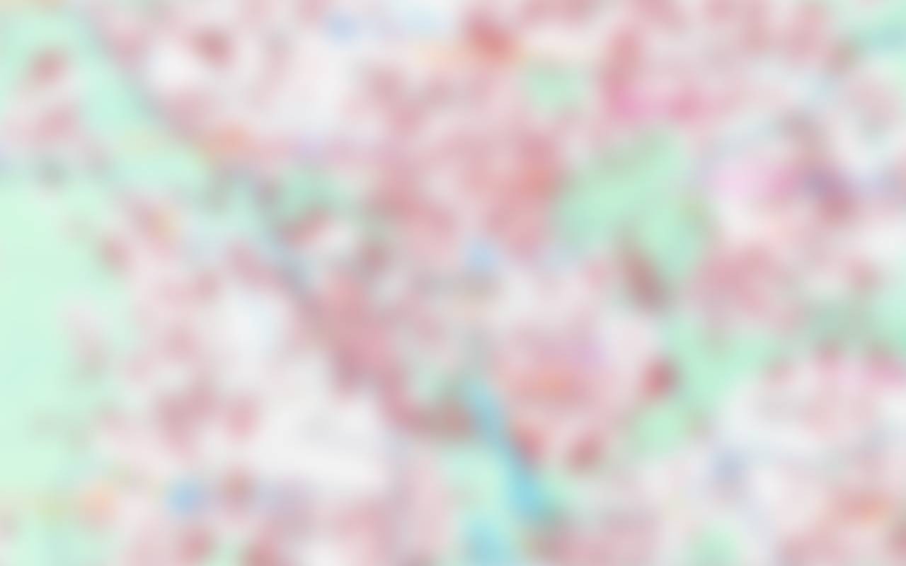 Niedrig aufgelöste Vorschau der Karte