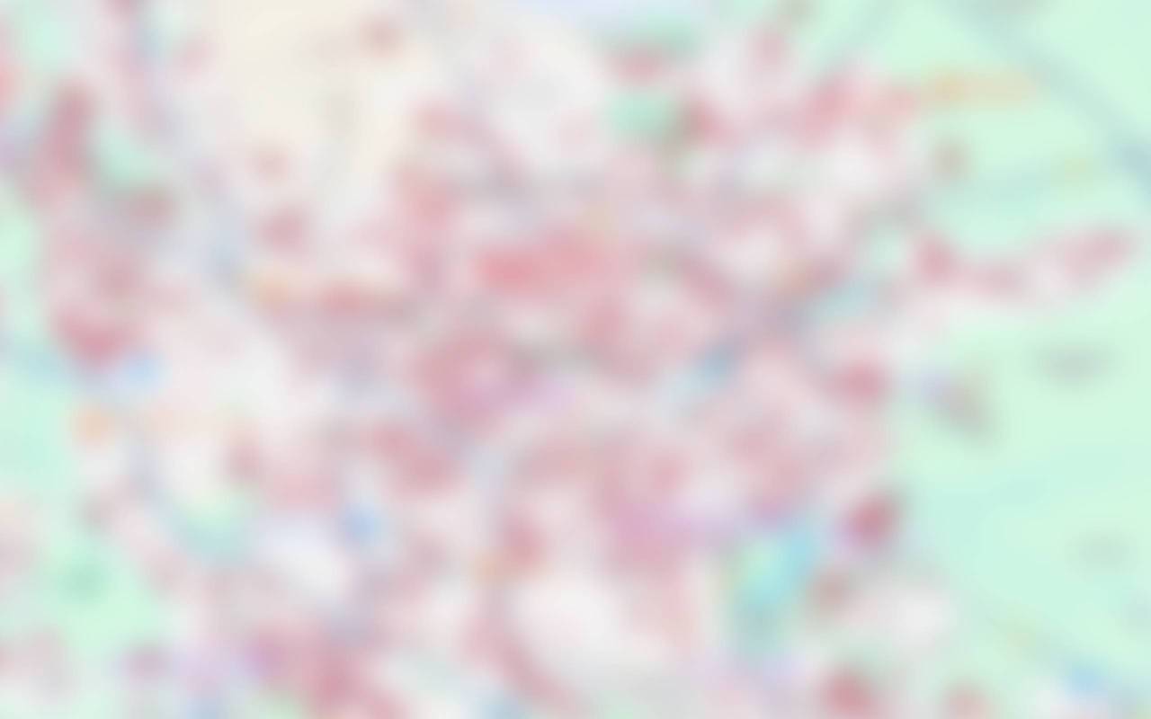Niedrig aufgelöste Vorschau der Karte